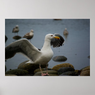 Niet Storen Afdrukken Poster