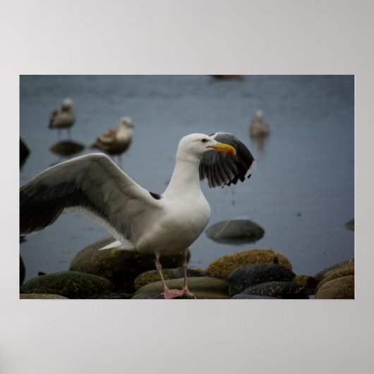 Niet Storen Afdrukken Poster (Voorkant)