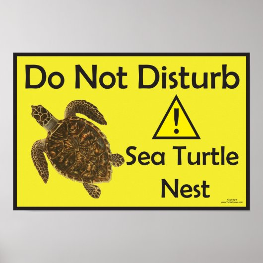 Niet storen Zee Turtle Nest Poster (Voorkant)