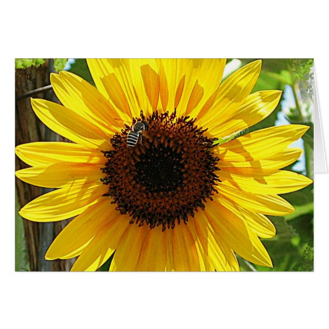 Niet te diep adem (Voorkant Horizontaal)