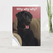 NIET TE GELOVEN DAT JE DE "70ste" VERJAARDAG VIERT Kaart (Voorkant)