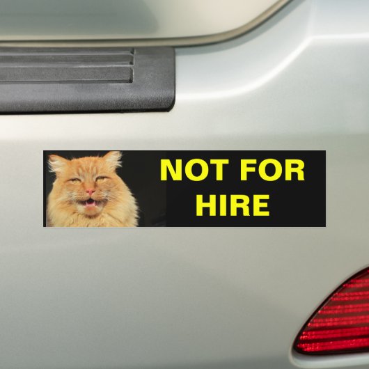 Niet te huur (pompoen) bumpersticker (Op auto)