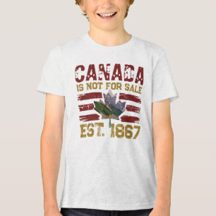 Niet te koop Est 1867 Grunge Tri-Blend Shirt
