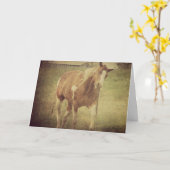 Niet tegen me aankijken, Schilder Horse Shakes Hea Kaart (Gele Bloem)