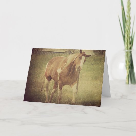 Niet tegen me aankijken, Schilder Horse Shakes Hea Kaart (Voorkant)