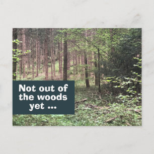 Niet uit de Bossen, maar Quarantaine in Natuur Briefkaart