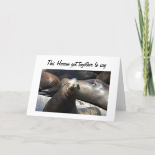 NIET VANDAAG GEVIST=KLAAR VOOR PARTIJ KAART