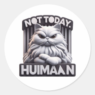 Niet vandaag Huimaan Funny Angry Cat Craft Sticker