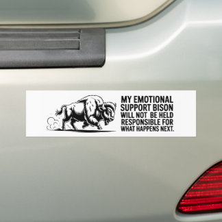 Niet verantwoordelijk voor wat er daarna gebeurt bumpersticker