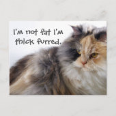 Niet vet. Dick Fured Briefkaart (Voorkant)