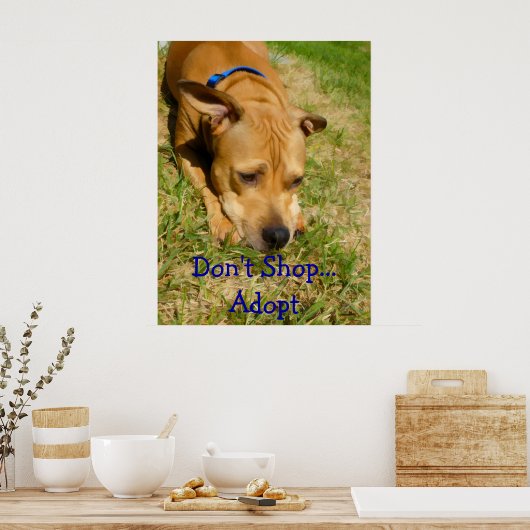 Niet winkelen...adopteren poster (Keuken)