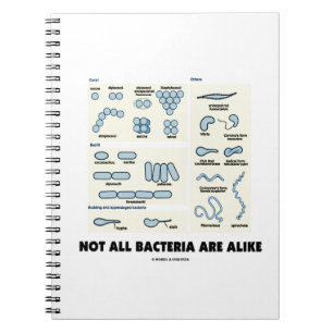 Niet zijn Alle Bacteriën Gelijk (de Bacteriële Notitieboek