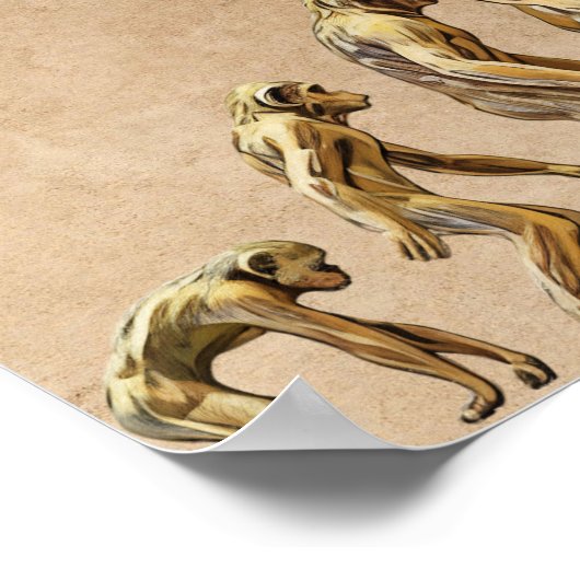 Niet zo subtiel tegen Trump Poster (Hoek)