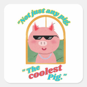 Niet zomaar een varken, het coolste varken vierkante sticker