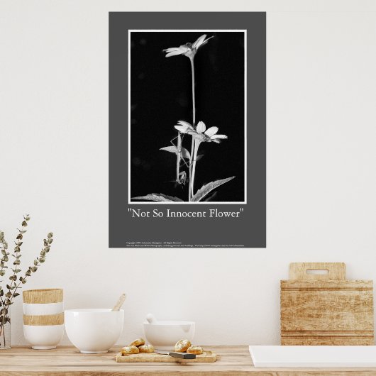 Niet zo'n instinctieve ventilator poster (Keuken)