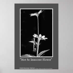 Niet zo'n instinctieve ventilator poster