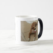 Niets als een zuster, Pi en kameel, Sassy Magische Mok (Voorkant rechts)