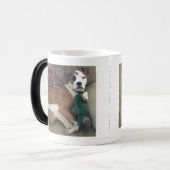 Niets als een zuster, Pi en kameel, Sassy Magische Mok (Voorkant links)