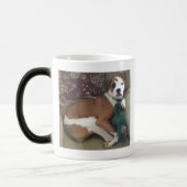 Niets als een zuster, Pi en kameel, Sassy Magische Mok (Links)