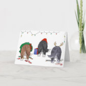 Niets anders dan een Beardie Kerstmis Feestdagen Kaart (Voorkant)