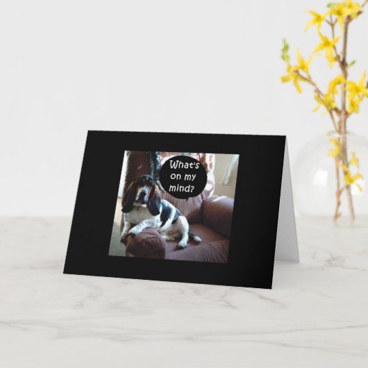 "NIETS ANDERS DAN EEN HONDJE" WIL 21STE FEESTJE KAART (Gele Bloem)