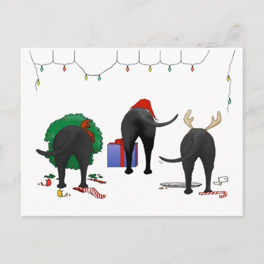 Niets anders dan een kerstlab feestdagenkaart (Voorkant)