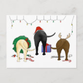 Niets anders dan een kerstlab feestdagenkaart (Voorkant)