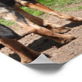 Niets beter dan een Duitse herder Poster (Hoek)