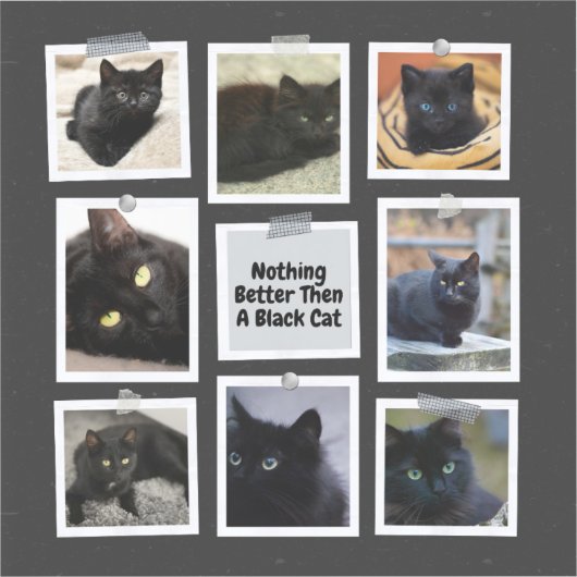 Niets beter dan een zwarte kat sticker (Voorkant)