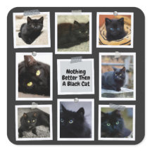 Niets beter dan een zwarte kat