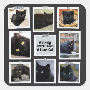 Niets beter dan een zwarte kat vierkante sticker