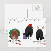 Niets dan een Border Collie Kerstmis Feestdagenkaart (Voorkant / Achterkant)