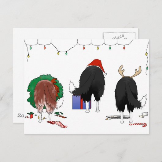 Niets dan een Border Collie Kerstmis Feestdagenkaart (Voorkant / Achterkant)