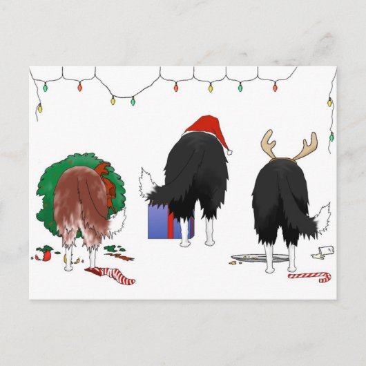 Niets dan een Border Collie Kerstmis Feestdagenkaart (Voorkant)