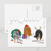 Niets dan een collie kerst feestdagenkaart (Voorkant / Achterkant)