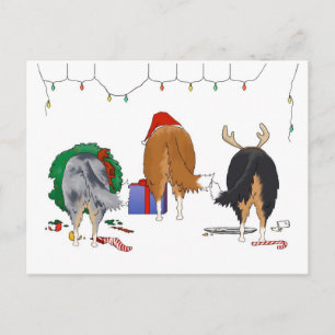 Niets dan een collie kerst feestdagenkaart