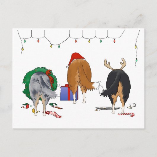 Niets dan een collie kerst feestdagenkaart (Voorkant)