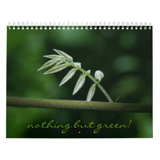 niets dan groen! kalender (Hoes)