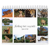 Niets dan Leopards - Agenda 2018 Kalender (Hoes)