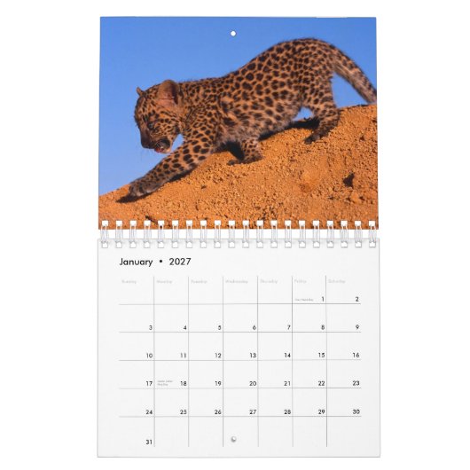 Niets dan Leopards - Agenda 2018 Kalender (Jan 2027)