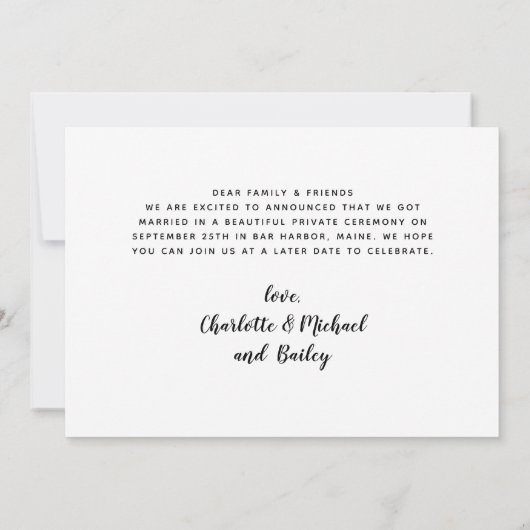 Niets Fancy gewoon liefde en een hondenweddenschap Aankondiging (Achterkant)