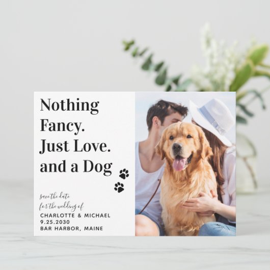 Niets Fancy, gewoon liefdeshondenweddenschap, besp Aankondiging (Staand voorkant)