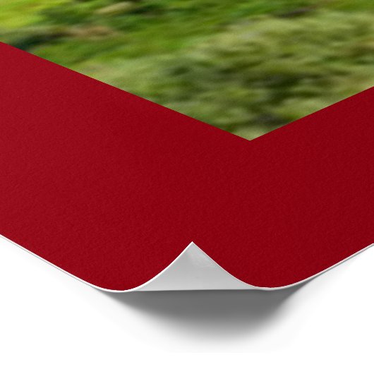 Niets Gold kan blijven Poster (Hoek)