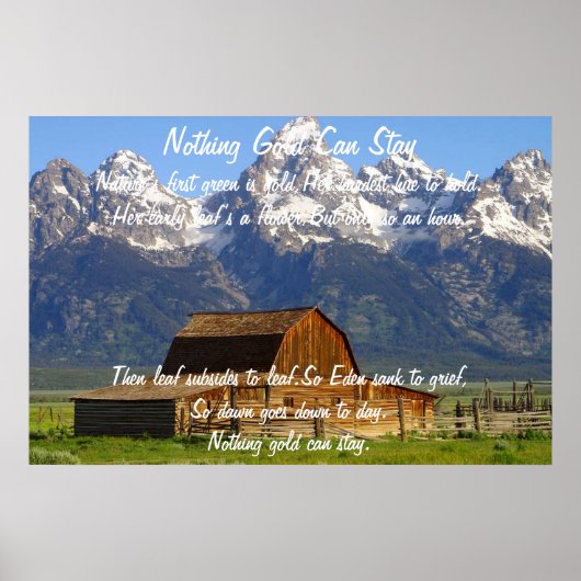 Niets Gold kan Poster blijven 1 (Voorkant)