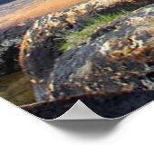 Niets Gold kan Poster blijven 5 (Hoek)