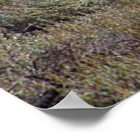 Niets Gold kan Poster blijven 7 (Hoek)