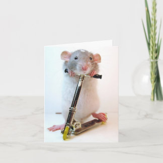 Niets is onmogelijk kaart