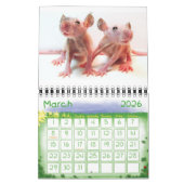 Niets, maar baby's. kalender (Mar 2026)