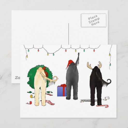 Niets steekt Afghaanse Kerstmis uit Feestdagenkaart (Voorkant / Achterkant)