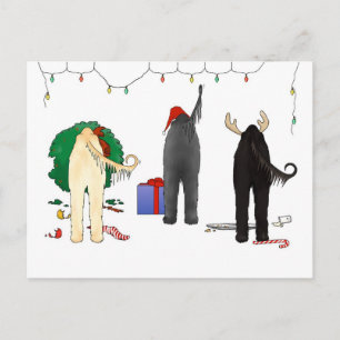 Niets steekt Afghaanse Kerstmis uit Feestdagenkaart